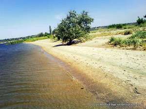 Спасская коса