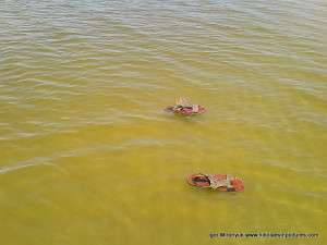 Плавающая обувь