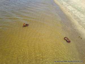 плавающая обувь