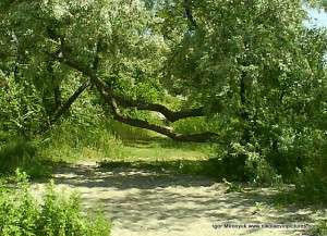 На краю Спасской косы