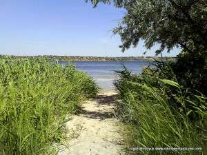 Противоположная сторона от Спасской косы