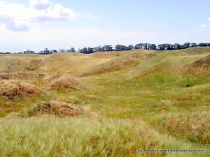 Батареи, Малая Корениха