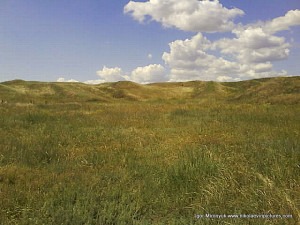 Внутри квадрата