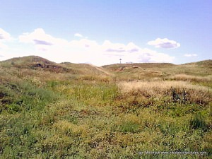 Внутри квадрата