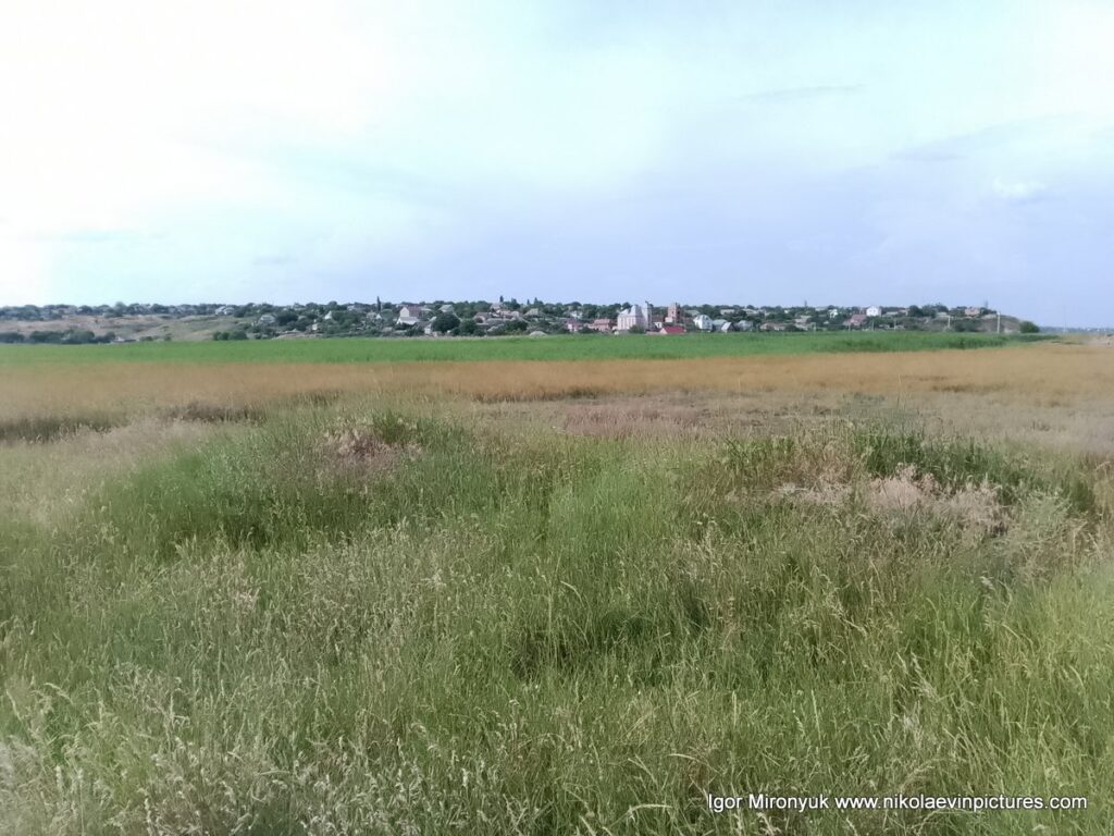 Большая Корениха