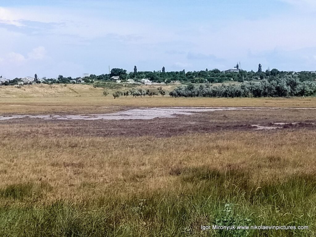 Пересохшее озеро в Большой Коренихе