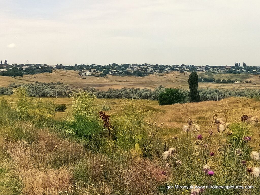 На фото видно природу  Большой Коренихи - микрорайона Николаева. 