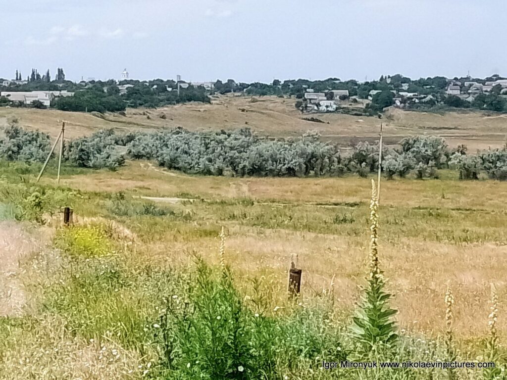 Природа Большой Коренихи, микрорайона Николаева. 