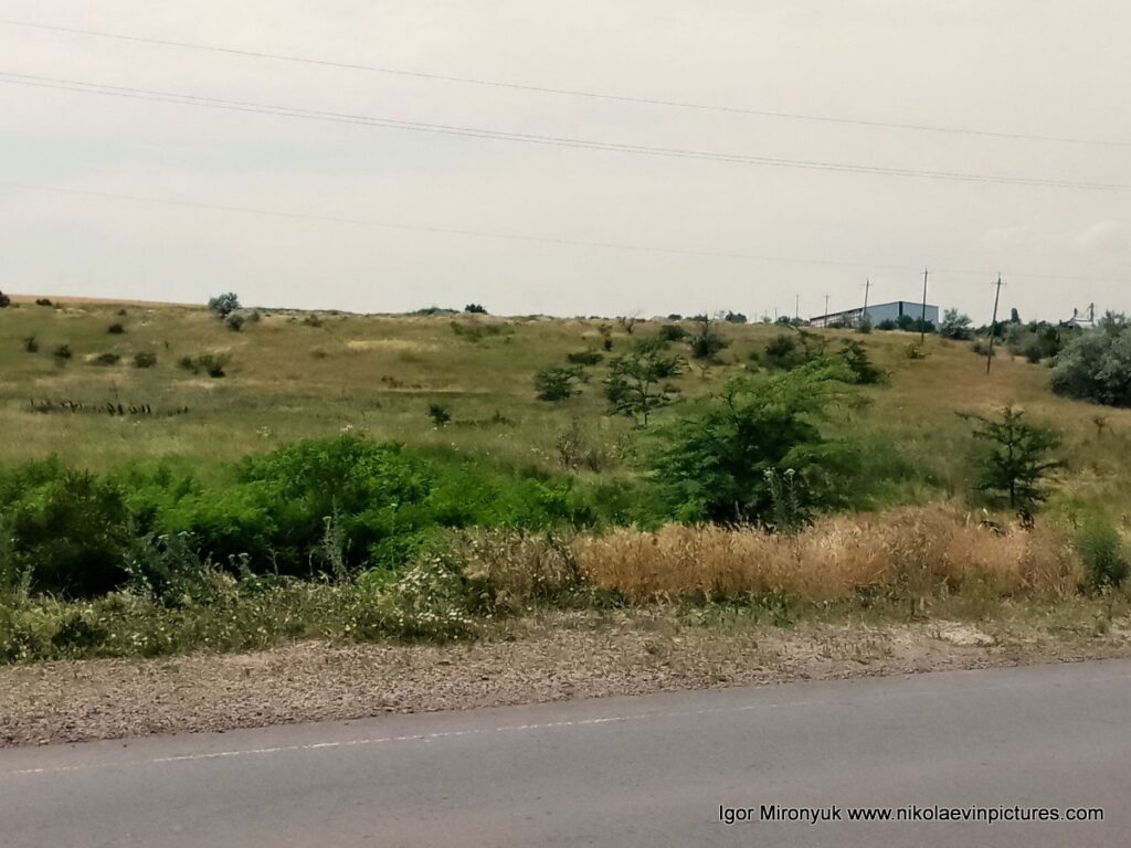 Природа Большой Коренихи - микрорайона Николаева. 