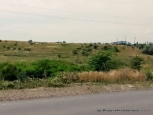 Природа Большой Коренихи - микрорайона Николаева.