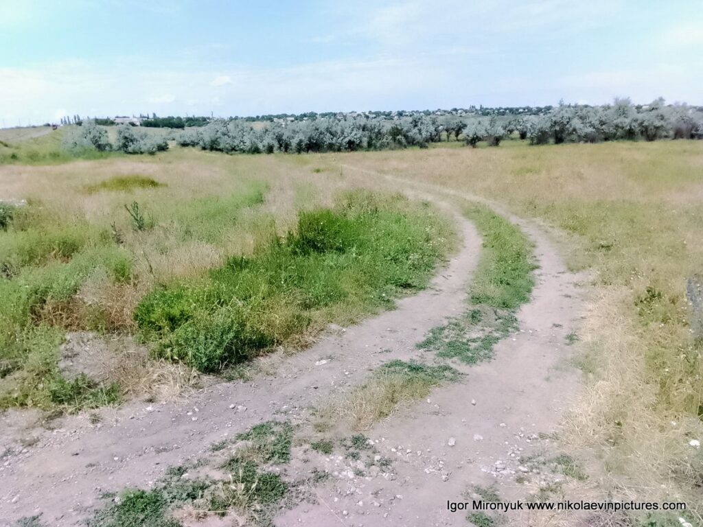 Природа Большой Коренихи