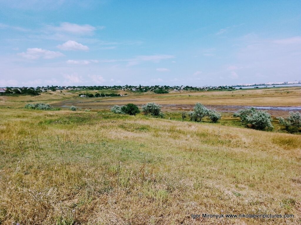 Природа Большой Коренихи 