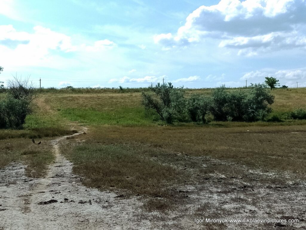 Дно пересохшего озера в Большой Коренихе, в Николаеве.