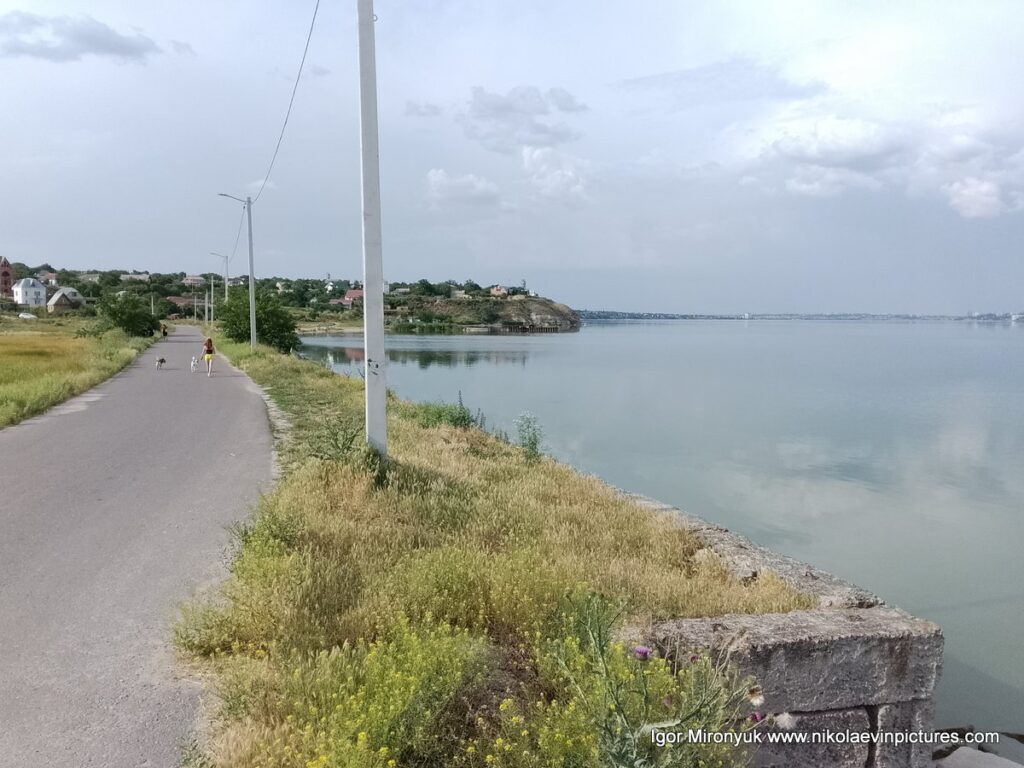 Дорога в Большую Корениху