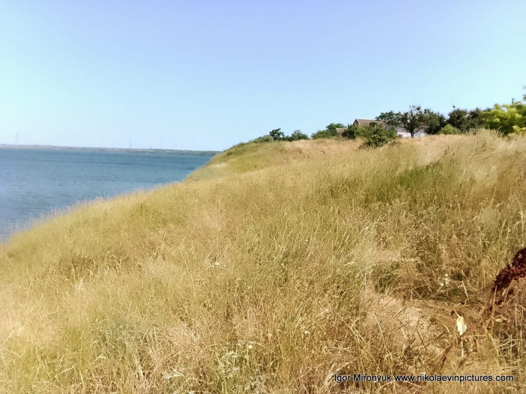 На фото видно холмы Большой Коренихи.