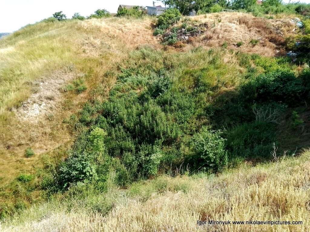 На фото видно холмы Большой Коренихи.