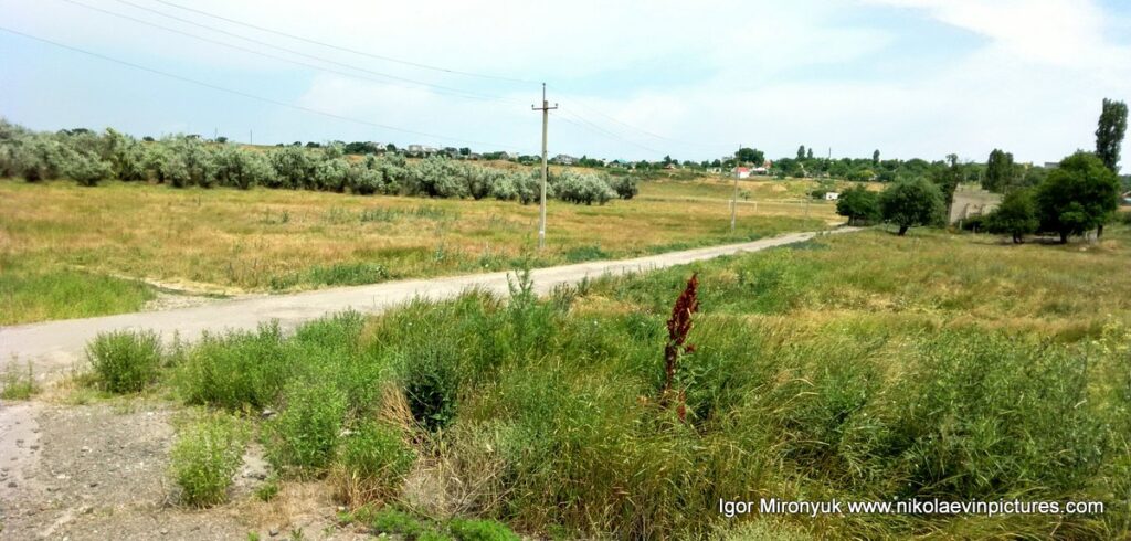 Природа Большой Коренихи в панораме