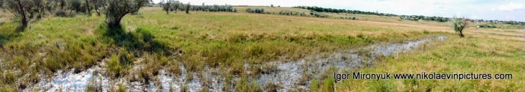 На этой фотографии-панораме видно болотистые каналы в Большой Коренихе. Я считаю, что это классное место для фотосессии в Николаеве. 