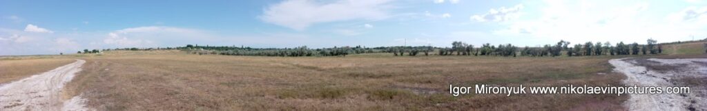 Дно пересохшего озера в Большой Коренихе