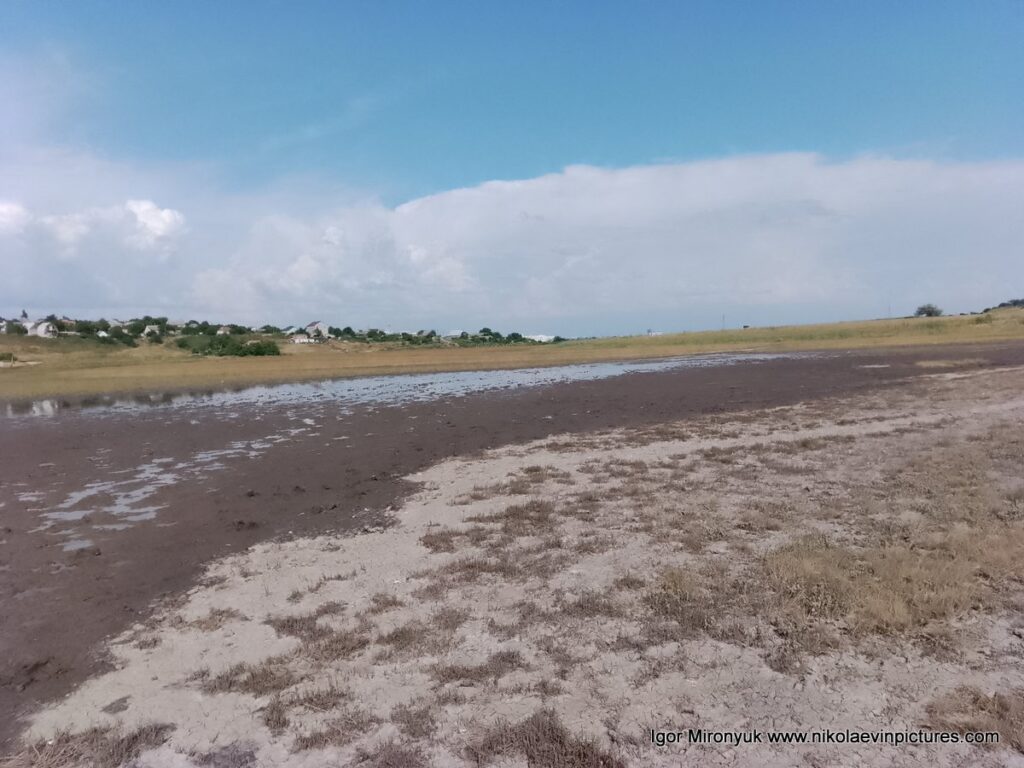 Пересохшее озеро в Большой Коренихе.
