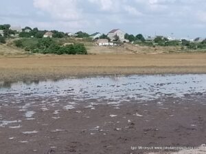 Пересохшее озеро в Большой Коренихе.