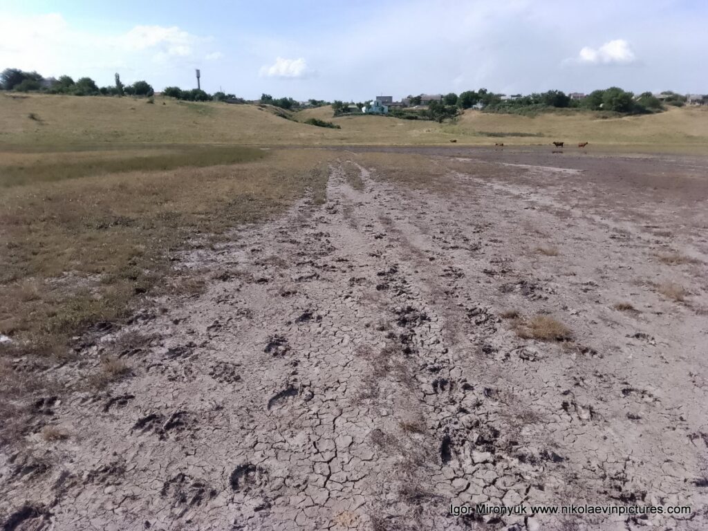 Дно пересохшего озера в Большой Коренихе.