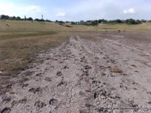 Дно пересохшего озера в Большой Коренихе.