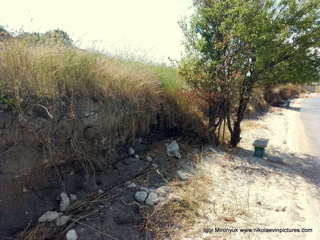 На фото видно пляж Большой Коренихи.