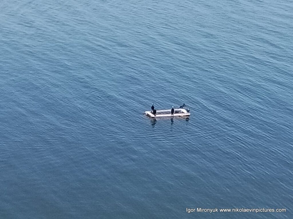 Птицы на рыбацком мостике в Бугском лимане, в Николаеве.
