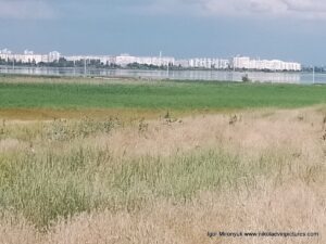 Вид на Намыв, с Большой Коренихи, Николаев.