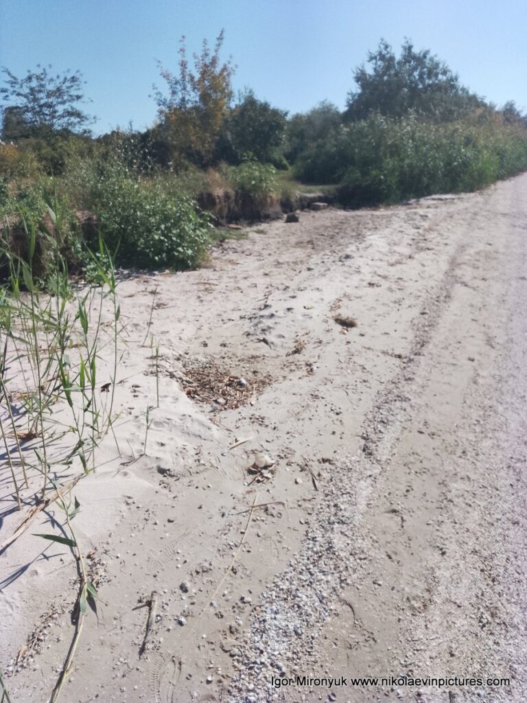 Возле Сиверсова маяка в Николаеве находятся дикие пляжи. Это один из них.