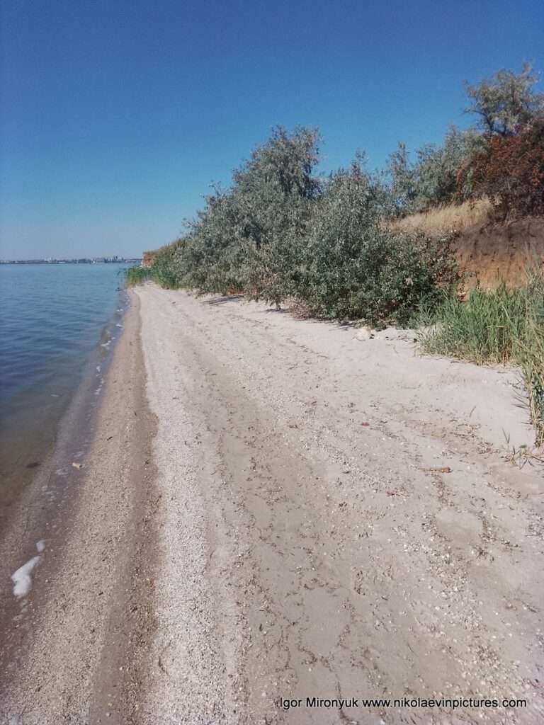 Возле Сиверсова маяка в Николаеве находятся дикие пляжи. Это один из них.