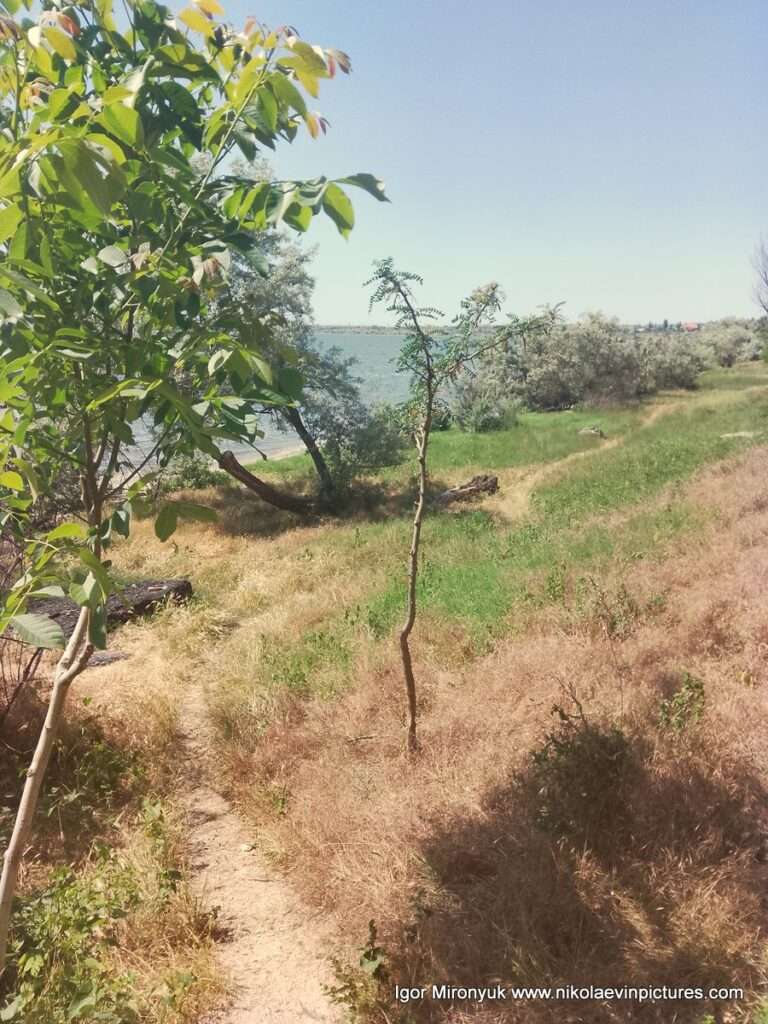 За Скалой 6 есть длинная и узкая долина со скалами с одной стороны и пляжами и водой - с другой.