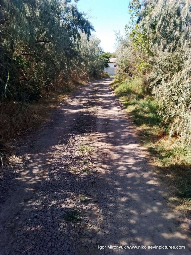 По этой дороге можно уйти из базы отдыха "Маяк", в Николаеве.