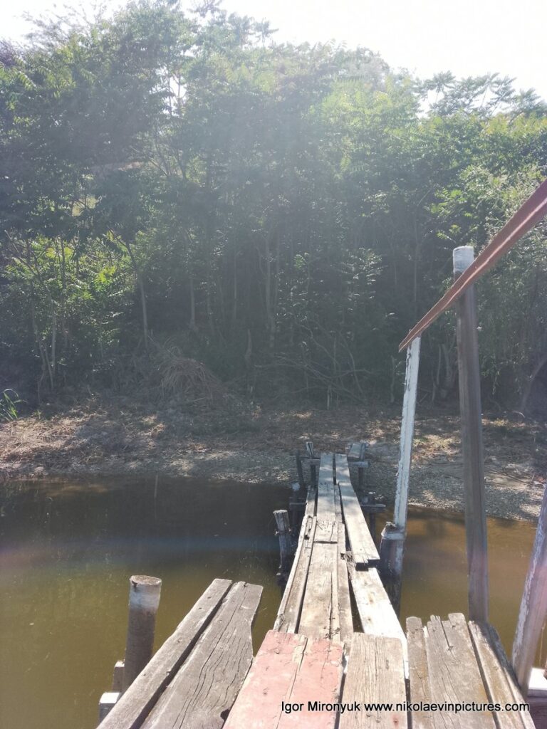 На берегу Улицы Скалистой высокие деревья. Мне это напоминает какие-то "Амазонские джунгли".