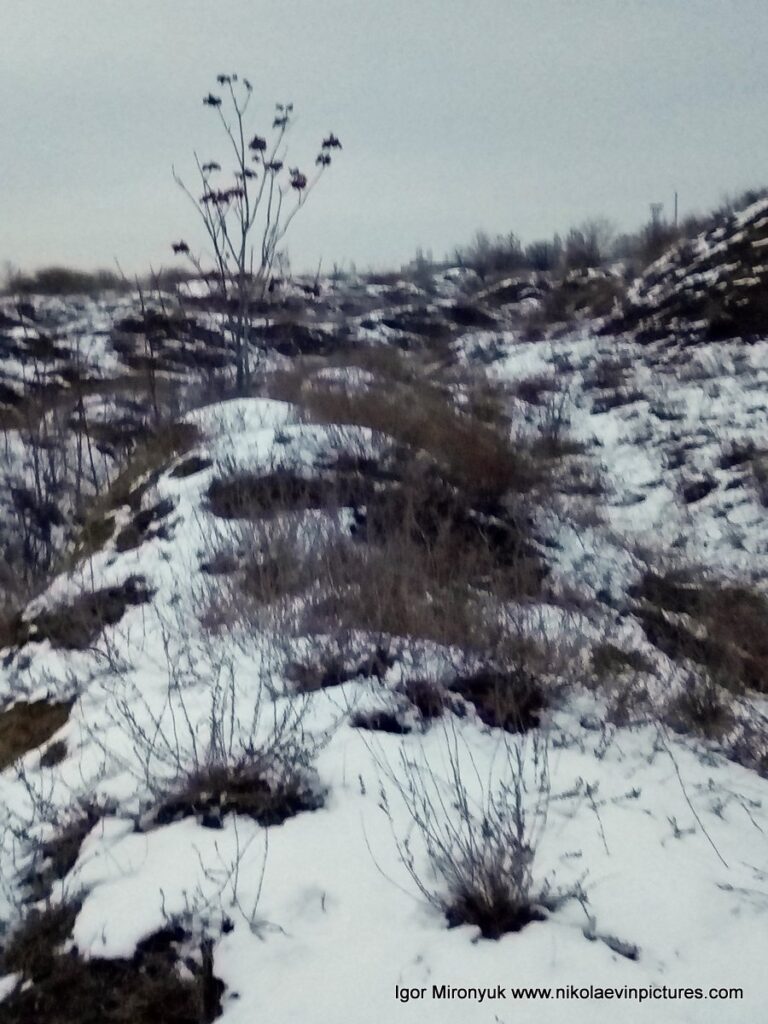 Hills land в Николаеве