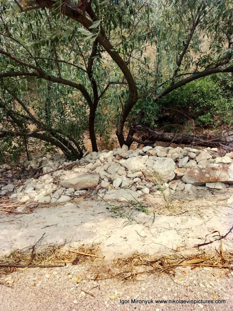 На фото камни под деревом возле пляжа Скала 6, в Соляных, в Николаеве.