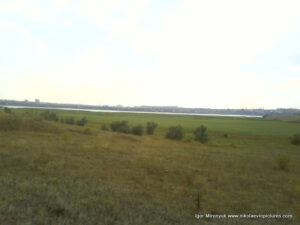 Много камышей - "Камышовый лес" возле Терновки, Николаев.