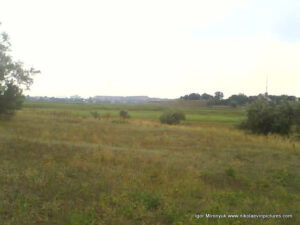 Много камышей - "Камышовый лес" возле Терновки, Николаев.