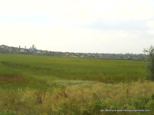 Много камышей - "Камышовый лес" возле Терновки, Николаев.