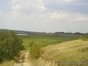 Камышы за Аляудами, в Николаеве.