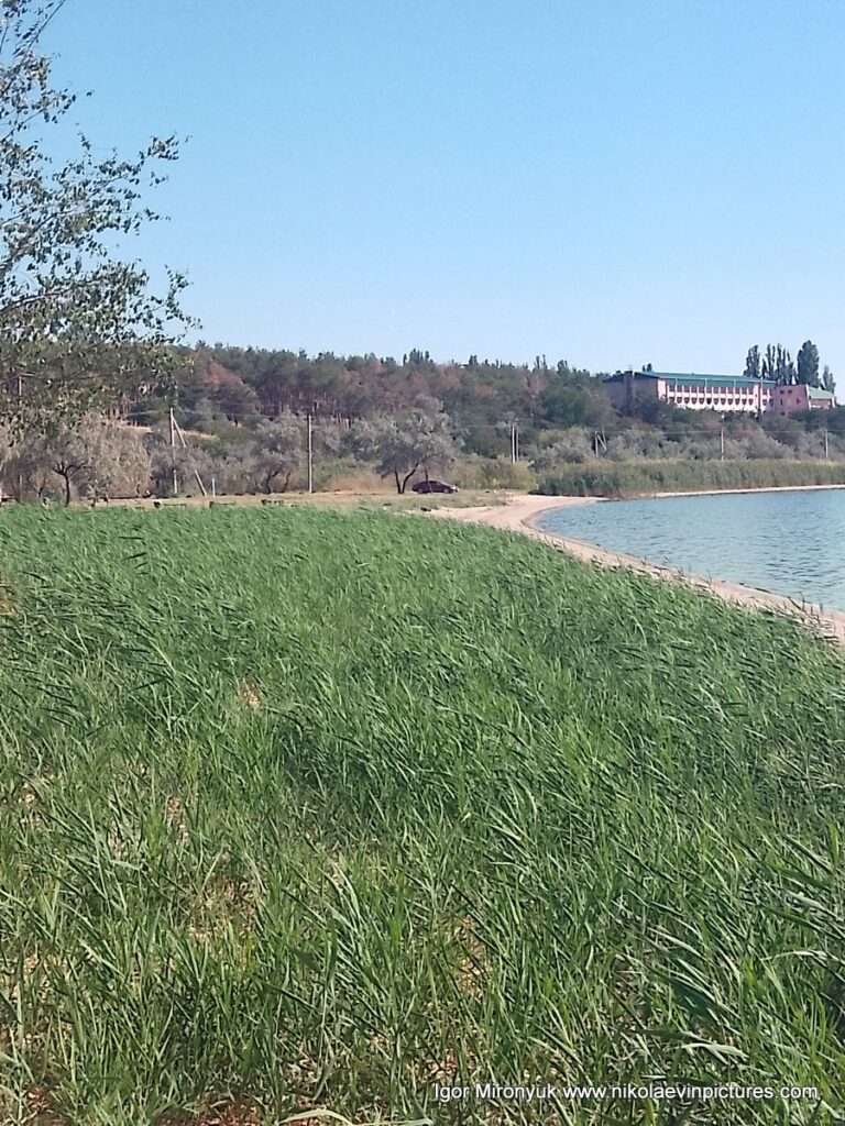 Возле базы отдыха "Маяк" в Николаеве, находятся лес с санаторием. По другую сторону - камыши.