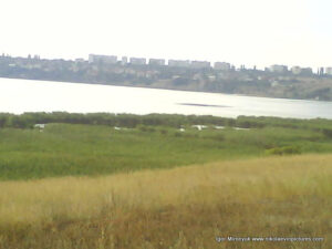 Водные акватории камышей напротив Порожнечи и Северного, в Николаеве.