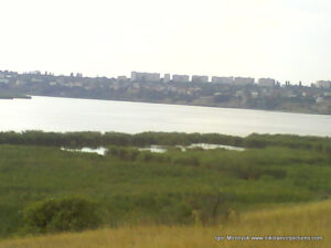 Водные акватории камышей напротив Порожнечи и Соляных, в Николаеве.