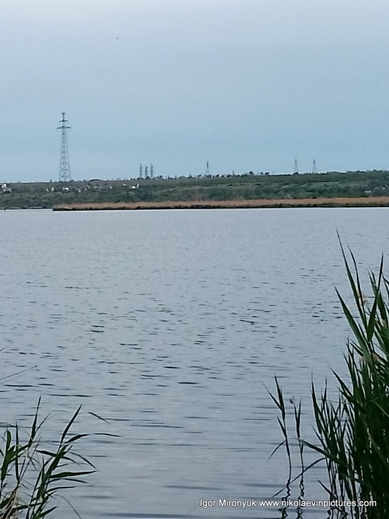Вот так выглядит Лесковская коса на Намыве, в Николаеве, со стороны. Сплошной лабиринт из камышей.