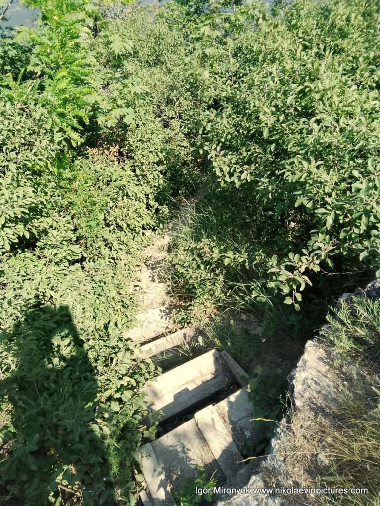 Эта лестница ведёт вниз, с верхней тропинки Улицы Скалистой на нижнюю.