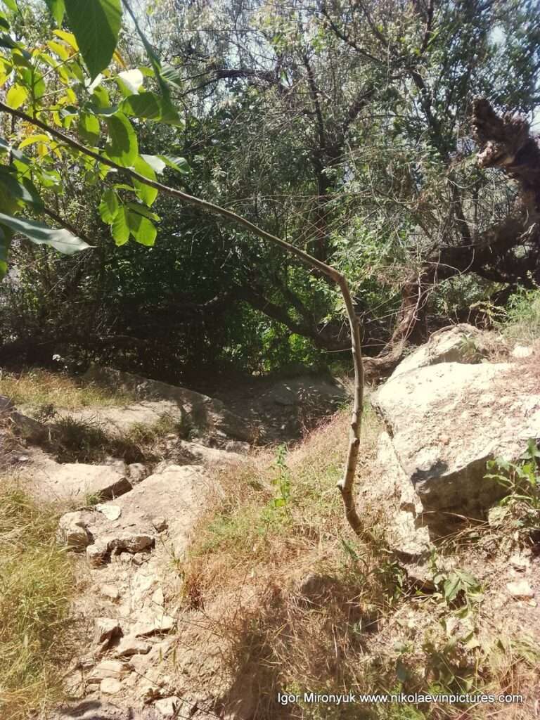 На фото лестница со Скалы 6