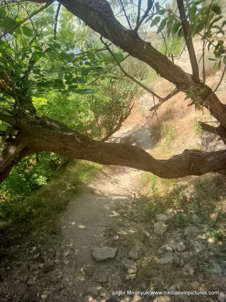 На фото лестница со Скалы 6