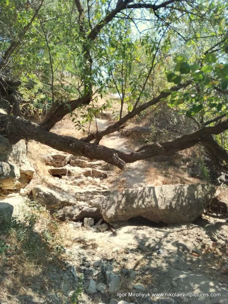 На фото лестница со Скалы 6. Второй день.