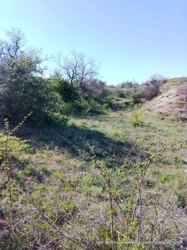 Матвеевские овраги в Николаеве.